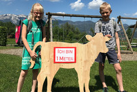 Kalb Liese gibt bei Roßleithner Kids den Abstand vor Kalb Liese gibt bei Roßleithner Kids den Abstand vor