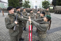 Treuegelöbnis an der Standarte der 4. Panzergrenadierbrigade Treuegelöbnis an der Standarte der 4. Panzergrenadierbrigade