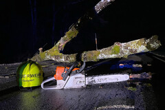 Der umgestürzte Baum in der Höllstraße Der umgestürzte Baum in der Höllstraße