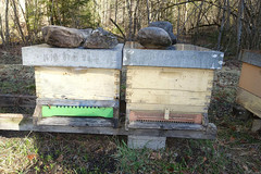 zwei der gestohlenen Bienenkästen zwei der gestohlenen Bienenkästen