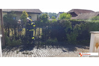 letzte Löscharbeiten an der Thujenhecke letzte Löscharbeiten an der Thujenhecke