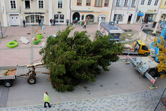 Am 5. November wurde der Christbaum am Braunauer Stadtplatz aufgestellt. Am 5. November wurde der Christbaum am Braunauer Stadtplatz aufgestellt.