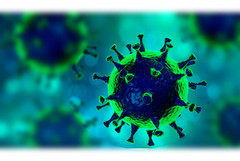 Corona-Virus - Symbolbild Corona-Virus - Symbolbild