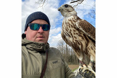 Greifvogelhof Feyregg - Symbolbild Greifvogelhof Feyregg - Symbolbild