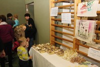 Schulkinder beim Advent Schulkinder beim Advent