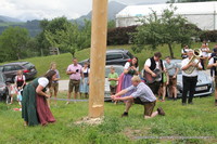 Maibaum wird umgeschnitten Maibaum wird umgeschnitten