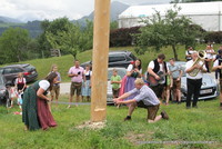 Maibaum wird umgeschnitten Maibaum wird umgeschnitten