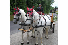 Romantische Kutschenfahrten im Kurpark Romantische Kutschenfahrten im Kurpark