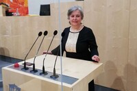SPÖ-Bezirksvorsitzende Bettina Lancaster SPÖ-Bezirksvorsitzende Bettina Lancaster