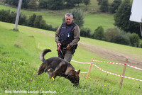 Polizeihund auf Spurensuche Polizeihund auf Spurensuche