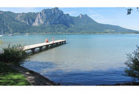 Ungetrübtes Badevergnügen auch am Mondsee Ungetrübtes Badevergnügen auch am Mondsee