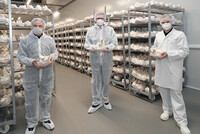 Besuch bei Neuburger GmbH und Neuburger fleischlos GmbH in Ulrichsberg - v.l.: Geschäftsführer Hermann Neuburger mit Wirtschafts-Landesrat Markus Achleitner und Geschäftsführer Thomas Neuburger in der Pilzzucht des Unternehmens mit den selbst gezüchteten Kräuterseitlingen Besuch bei Neuburger GmbH und Neuburger fleischlos GmbH in Ulrichsberg - v.l.: Geschäftsführer Hermann Neuburger mit Wirtschafts-Landesrat Markus Achleitner und Geschäftsführer Thomas Neuburger in der Pilzzucht des Unternehmens mit den selbst gezüchteten Kräuterseitlingen.