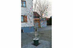 Der traditionelle Osterbaum der Fpö ziert seit letzter Woche auch dieses Jahr wieder den Gallspacher Hauptplatz. Der traditionelle Osterbaum der Fpö ziert seit letzter Woche auch dieses Jahr wieder den Gallspacher Hauptplatz.