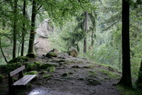 Naturschutzgebiet Pesenbachtal - Imagebild Naturschutzgebiet Pesenbachtal - Imagebild