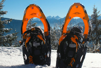 Schneeschuhwandern in der Urlaubsregion Attersee-Attergau Schneeschuhwandern in der Urlaubsregion Attersee-Attergau