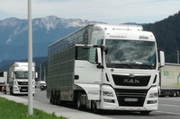 der besagte Schweinetransport am Parkplatz vor dem Bosruck-Tunnel der besagte Schweinetransport am Parkplatz vor dem Bosruck-Tunnel