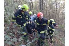 Bergung des verletzten Hundes durch die FF Scharnstein Bergung des verletzten Hundes durch die FF Scharnstein