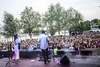 Das Stream-Festival am Donauufer soll 2021 wieder stattfinden Das Stream-Festival am Donauufer soll 2021 wieder stattfinden