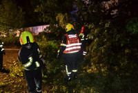 48 Feuerwehren im Bezirk Schärding im Unwettereinsatz 48 Feuerwehren im Bezirk Schärding im Unwettereinsatz