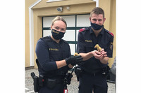 Die beiden Polizeibeamten samt den geretteten Küken Die beiden Polizeibeamten samt den geretteten Küken