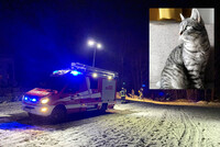 FF Schwaming am Einsatzort FF Schwaming am Einsatzort