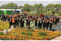 Waidhofner Kammerorchester Waidhofner Kammerorchester