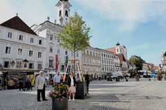 Ein wandernder Baum auf dem Stadtplatz Ein wandernder Baum auf dem Stadtplatz