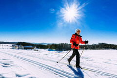 Traumhafte Winterlandschaft in St. Georgen am Walde Traumhafte Winterlandschaft in St. Georgen am Walde