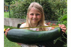 Melina aus Inzersdorf mit der 39 cm langen Zucchini Melina aus Inzersdorf mit der 39 cm langen Zucchini