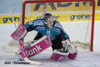 Mike Ouzas im Tor der Linzer Mike Ouzas im Tor der Linzer
