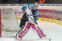 Black Wings Linz - Imagebild Black Wings Linz - Imagebild