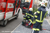 Abtransport des gefangenen Pfaus durch die Feuerwehr Abtransport des gefangenen Pfaus durch die Feuerwehr