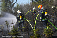 Feuerwehr bei den Löscharbeiten im Christbaumwald Feuerwehr bei den Löscharbeiten im Christbaumwald