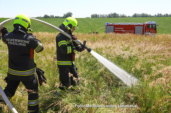 Löscharbeiten in Oftering Löscharbeiten in Oftering