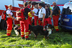 Suchhundestaffel des Roten Kreuz im Einsatz Suchhundestaffel des Roten Kreuz im Einsatz
