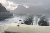 Sturm am Traunsee - Imagebild Sturm am Traunsee - Imagebild