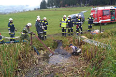 Einsatzkräfte bei der Rettung des Pferdes Einsatzkräfte bei der Rettung des Pferdes